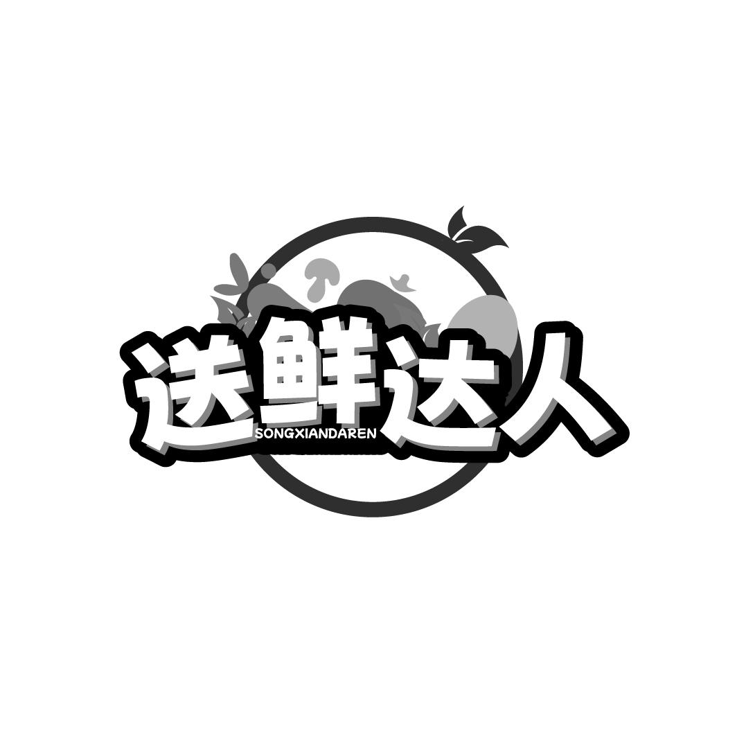 送鲜达人SONGXIANDAREN