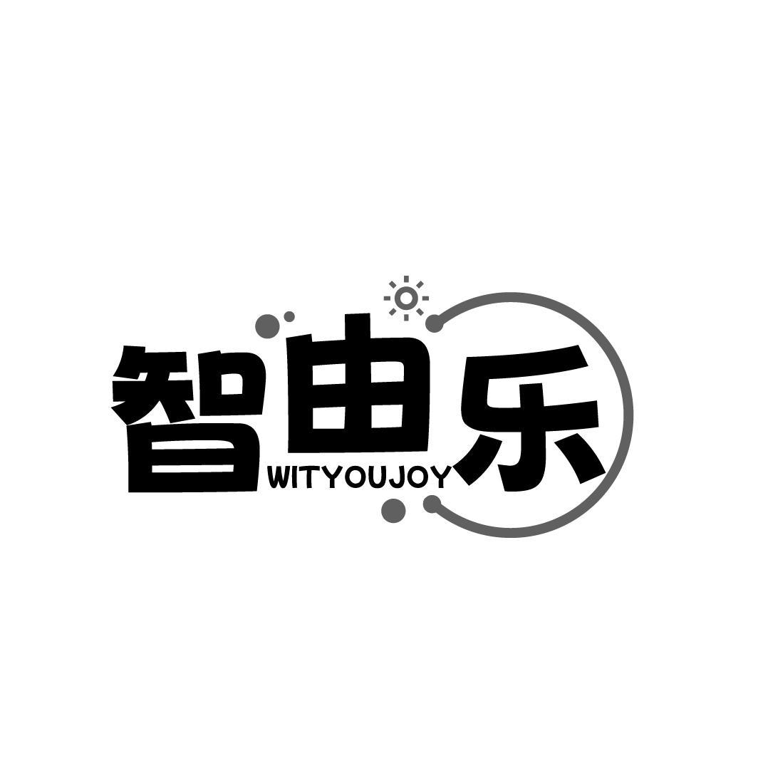 智由乐 WITYOUJOY