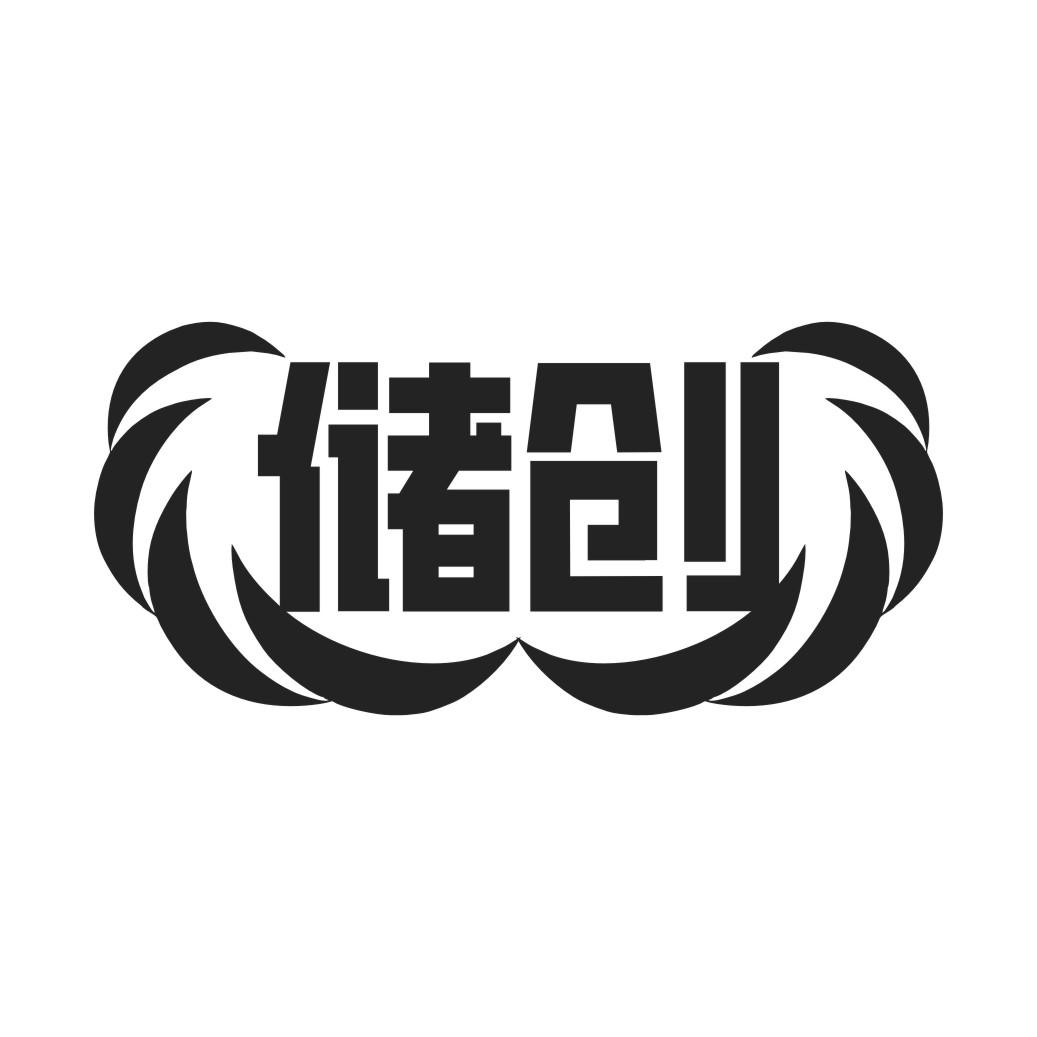 储创