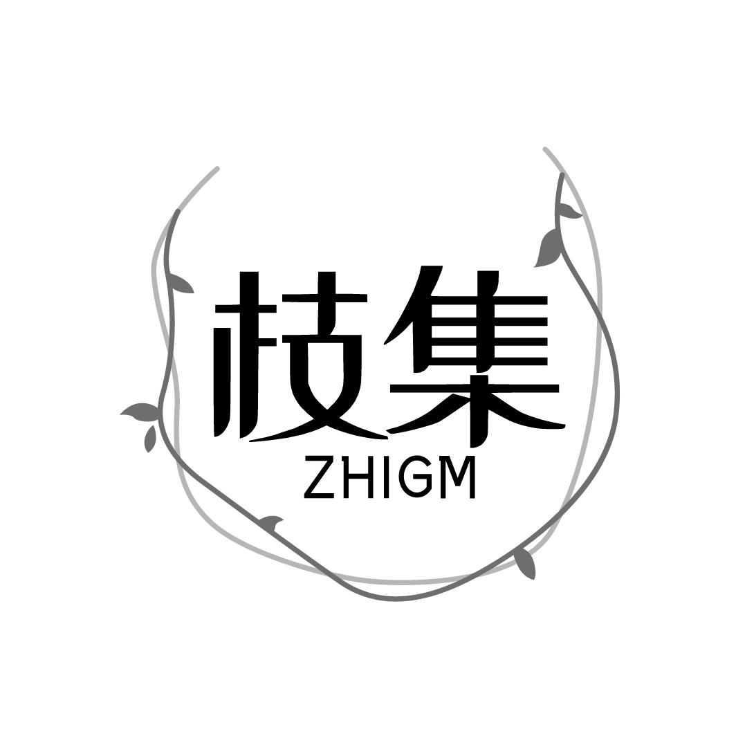 枝集
ZHIGM