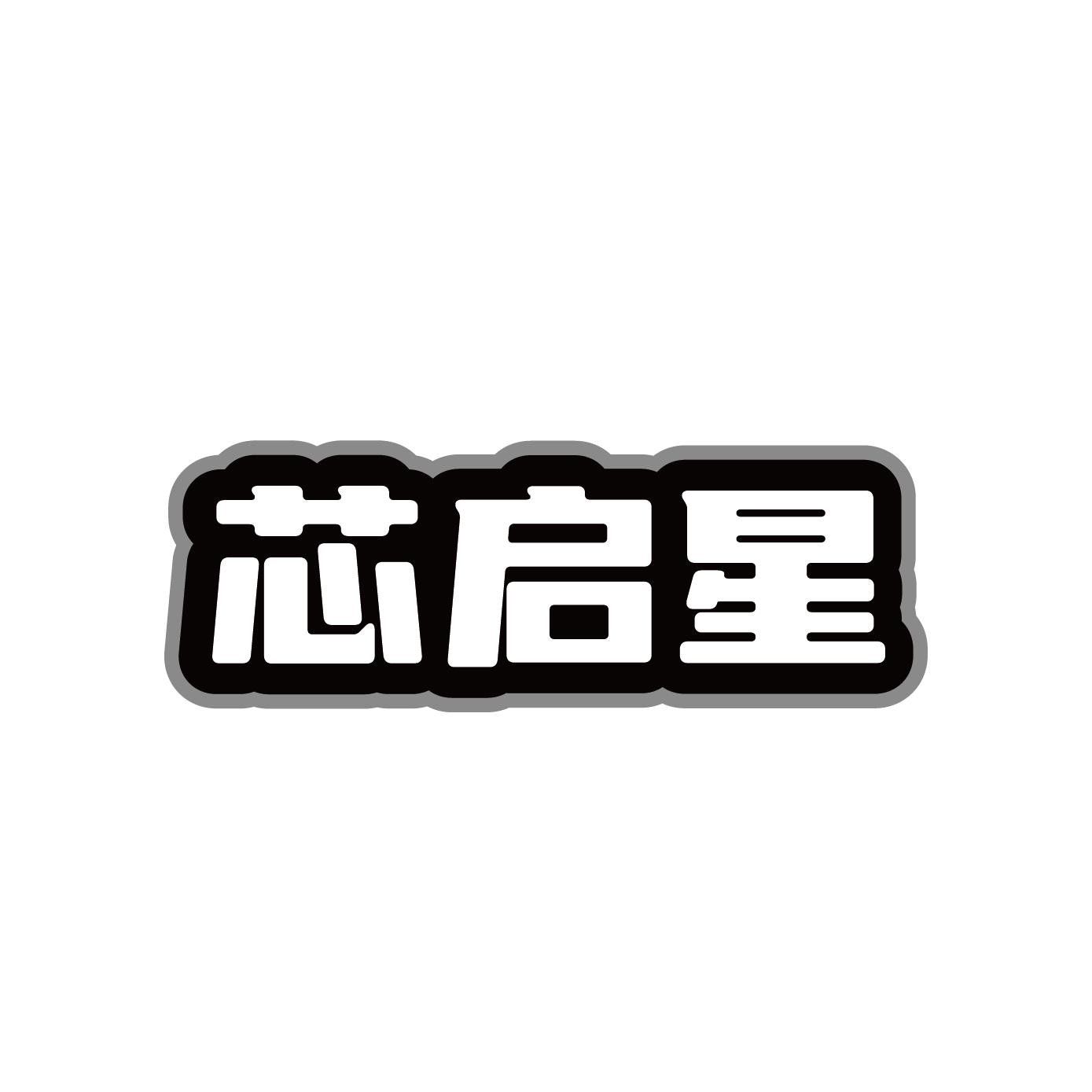 芯启星