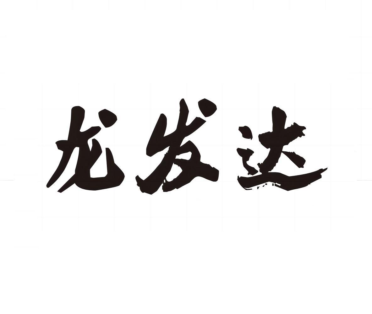 龙发达