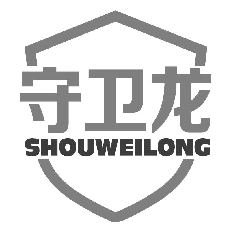 守卫龙