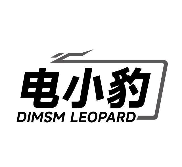 电小豹 DIMSM LEOPARD
