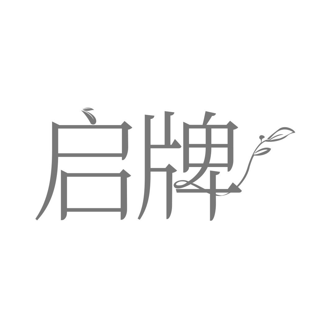 启牌