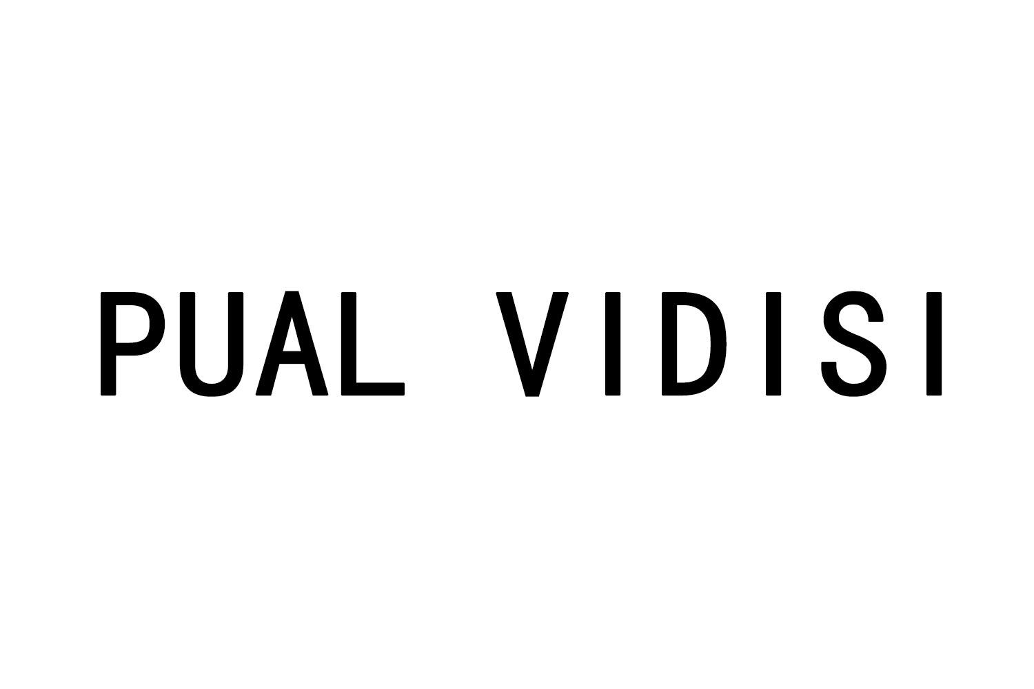 PUAL VIDISI