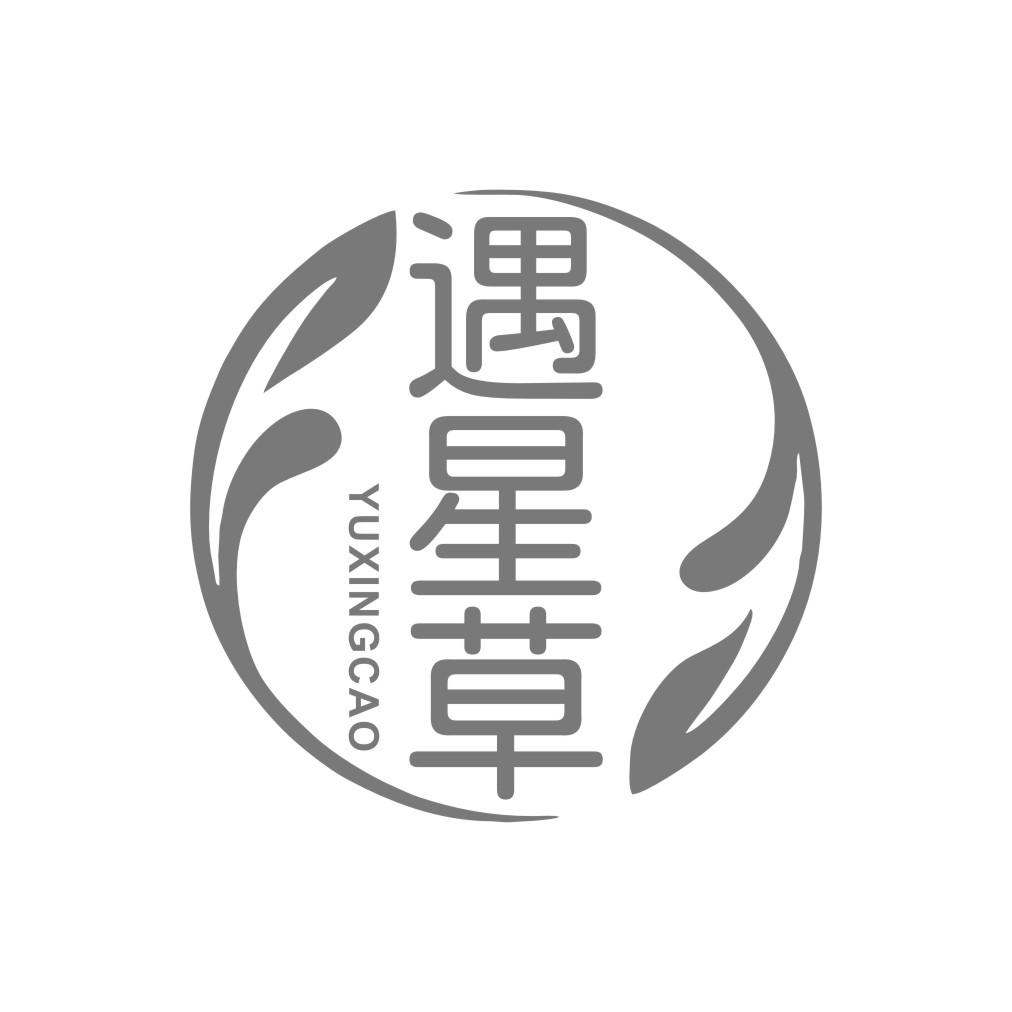 遇星草