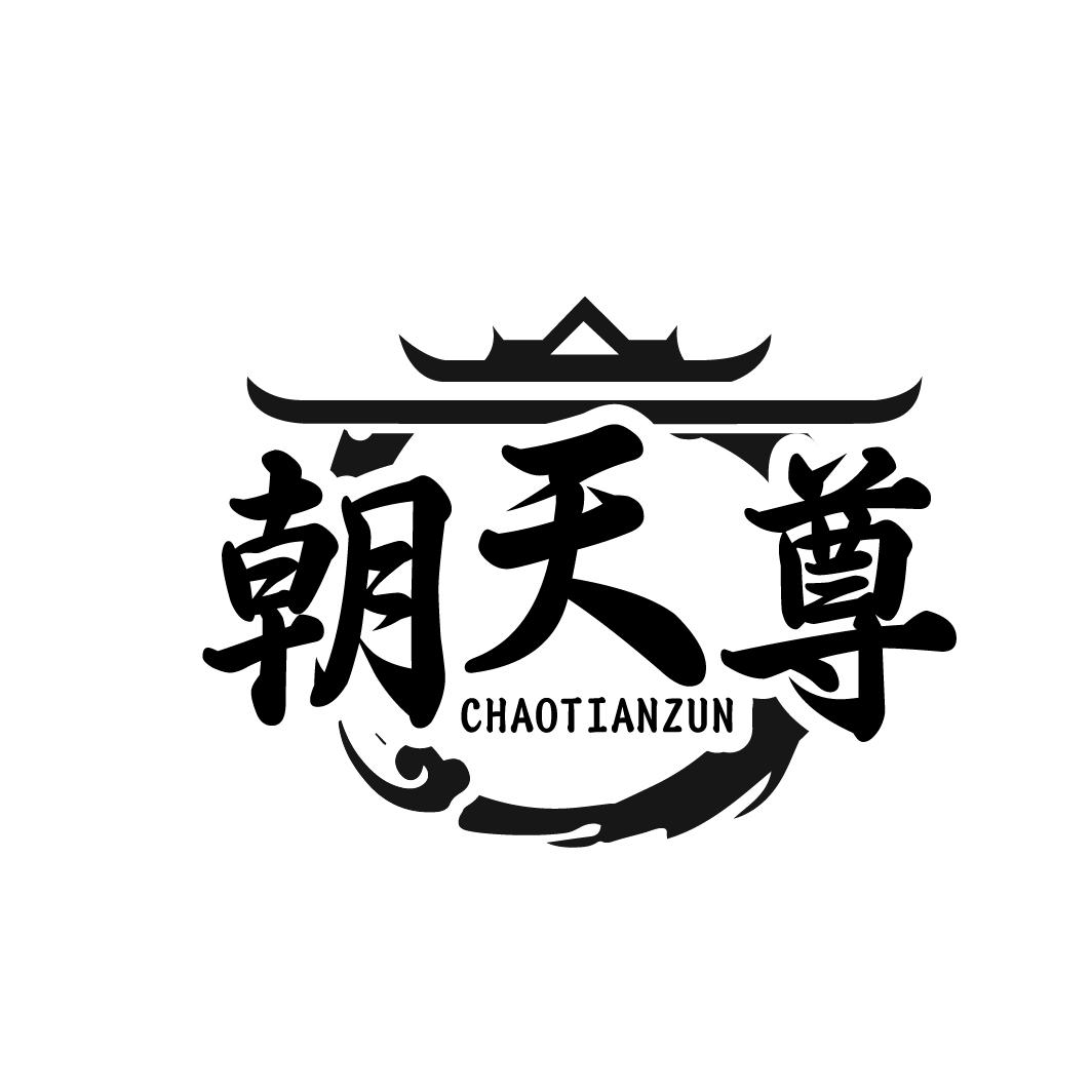 朝天尊CHAOTIANZUN