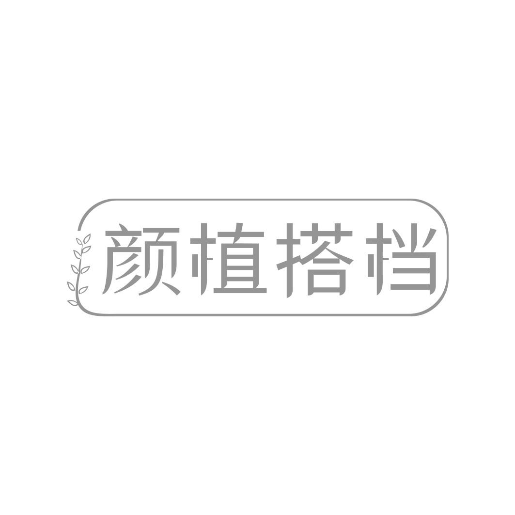 颜植搭档  