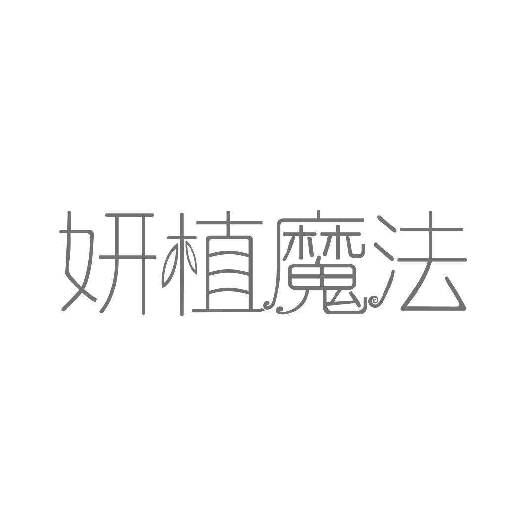 妍植魔法