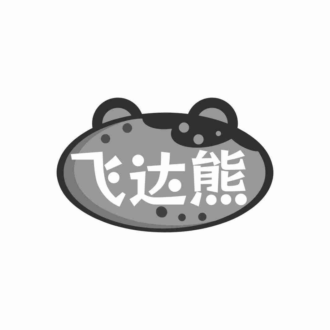 飞达熊