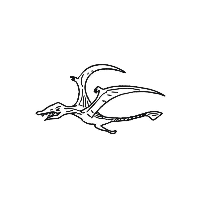 鸟图形