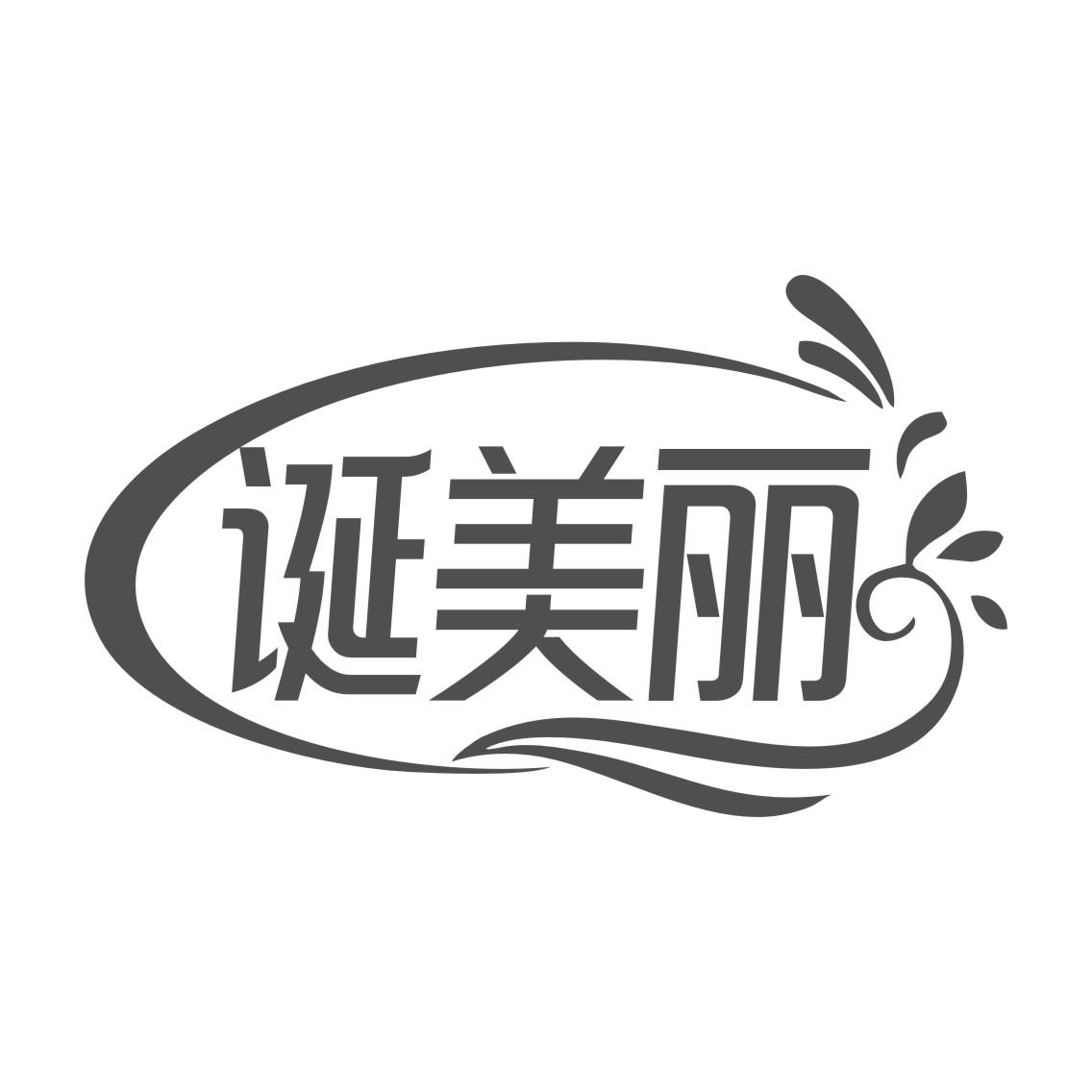诞美丽