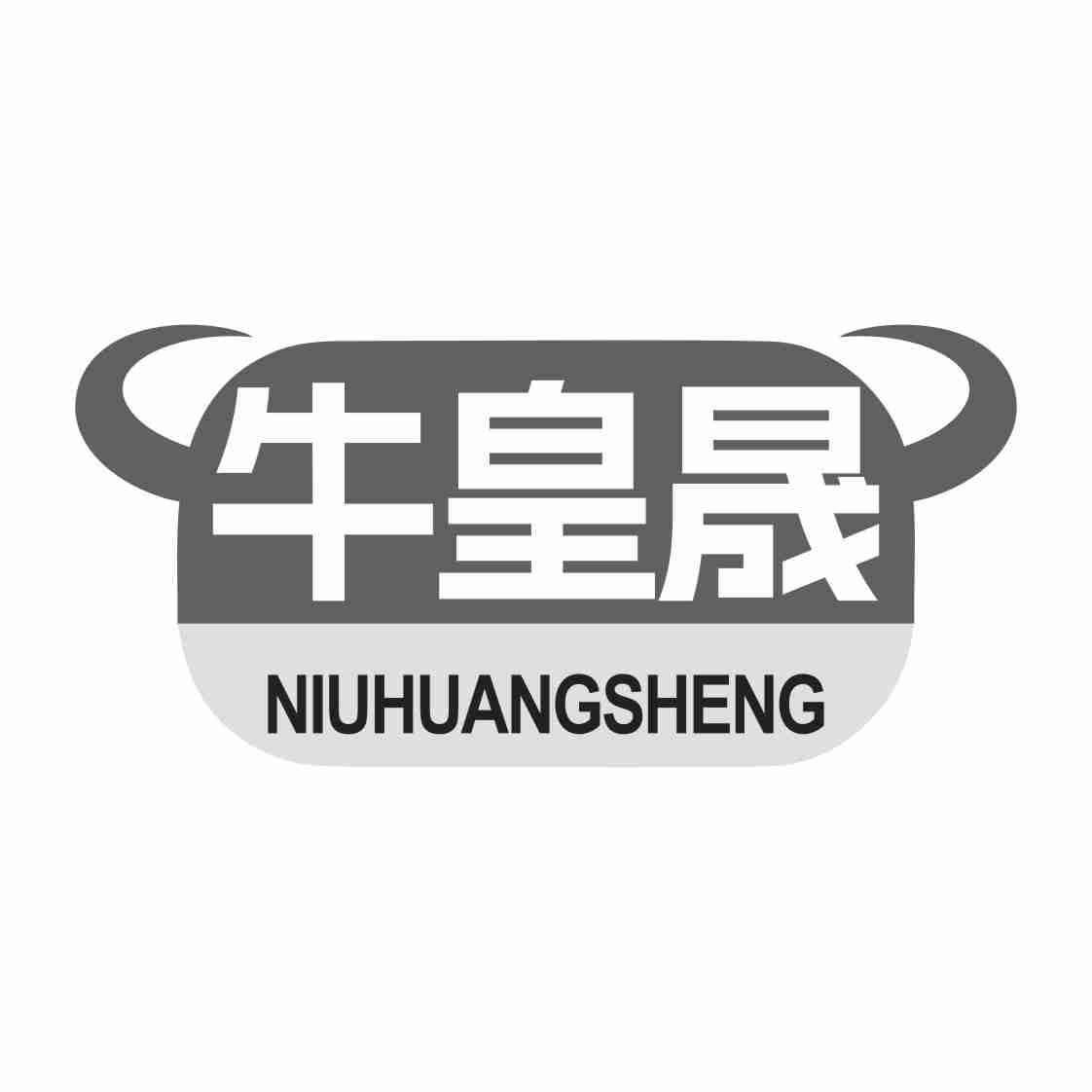 牛皇晟NIUHUANGSHENG