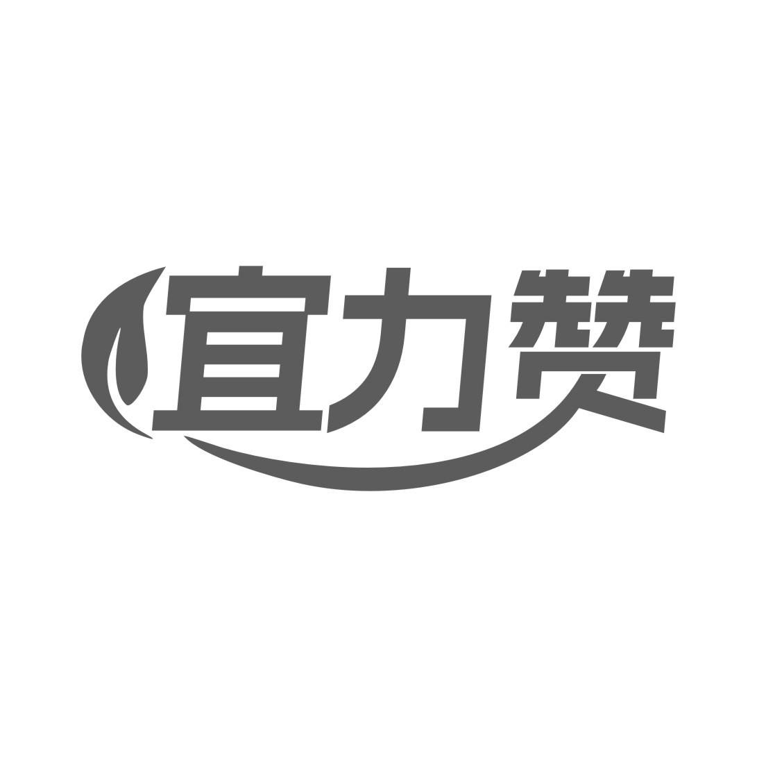 宜力赞