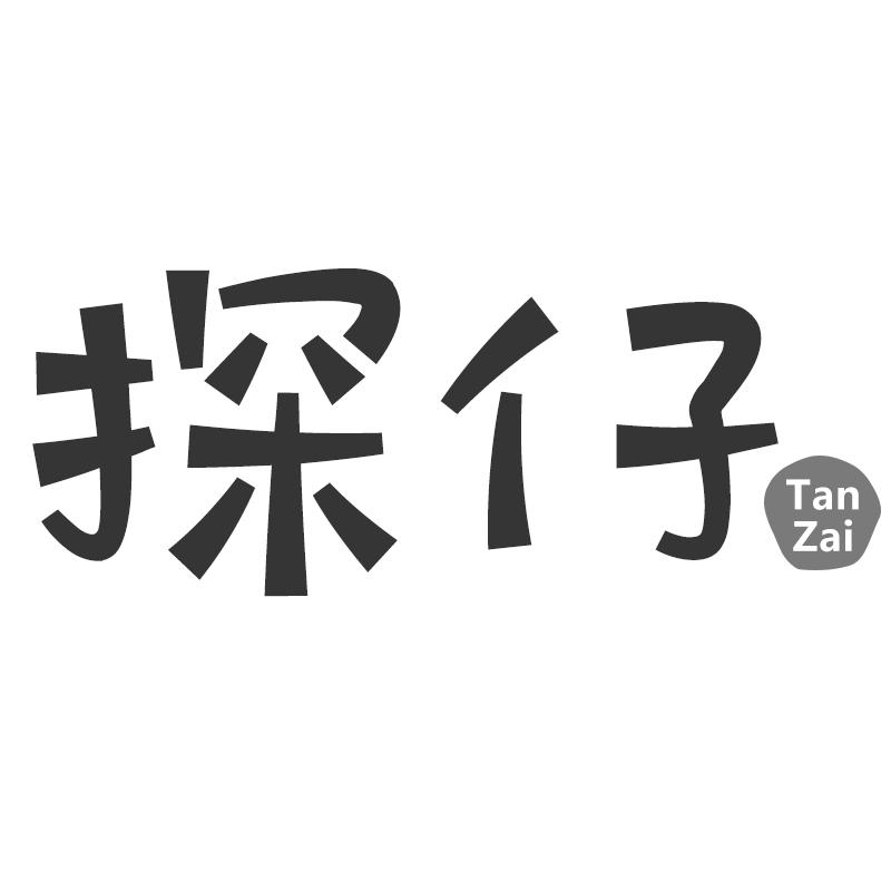 探仔
