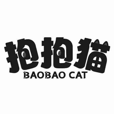 抱抱猫 BAOBAO CAT