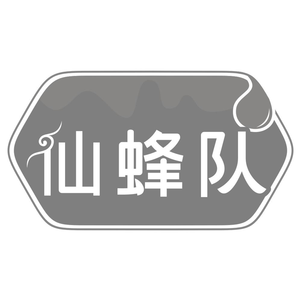 仙蜂队