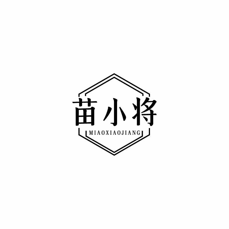 苗小将