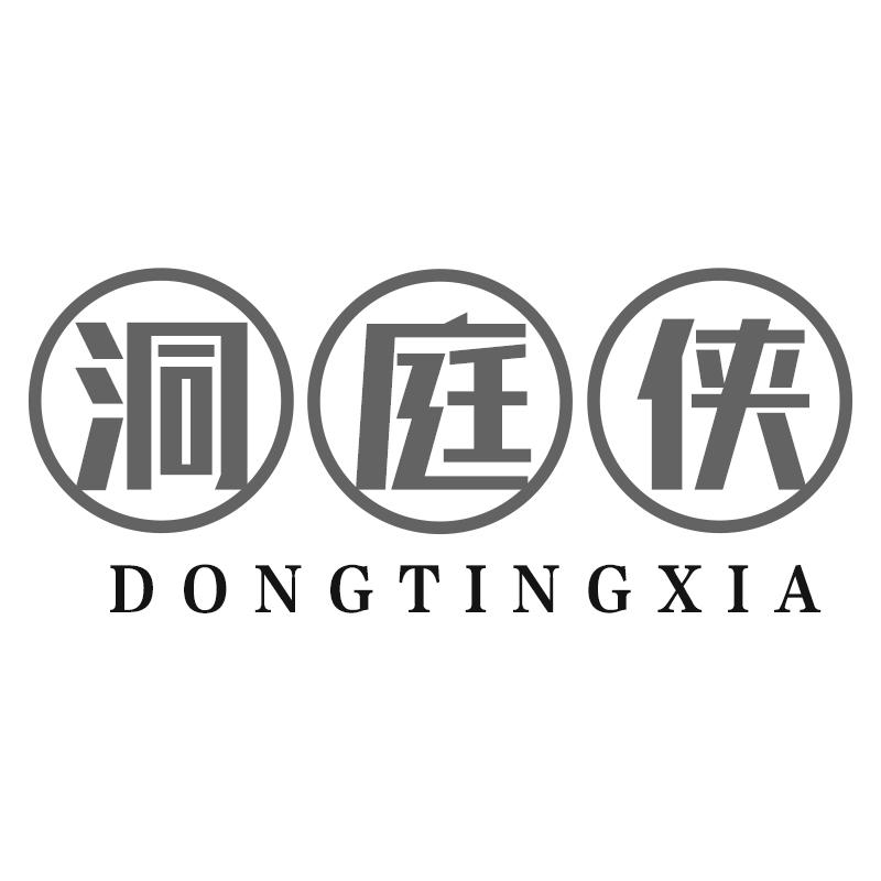 洞庭侠