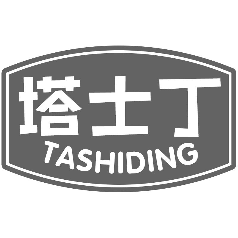 塔士丁