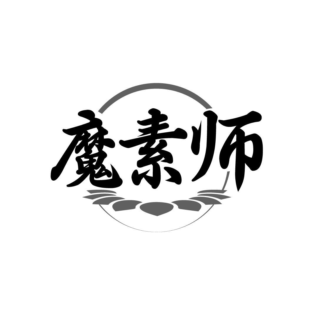魔素师
