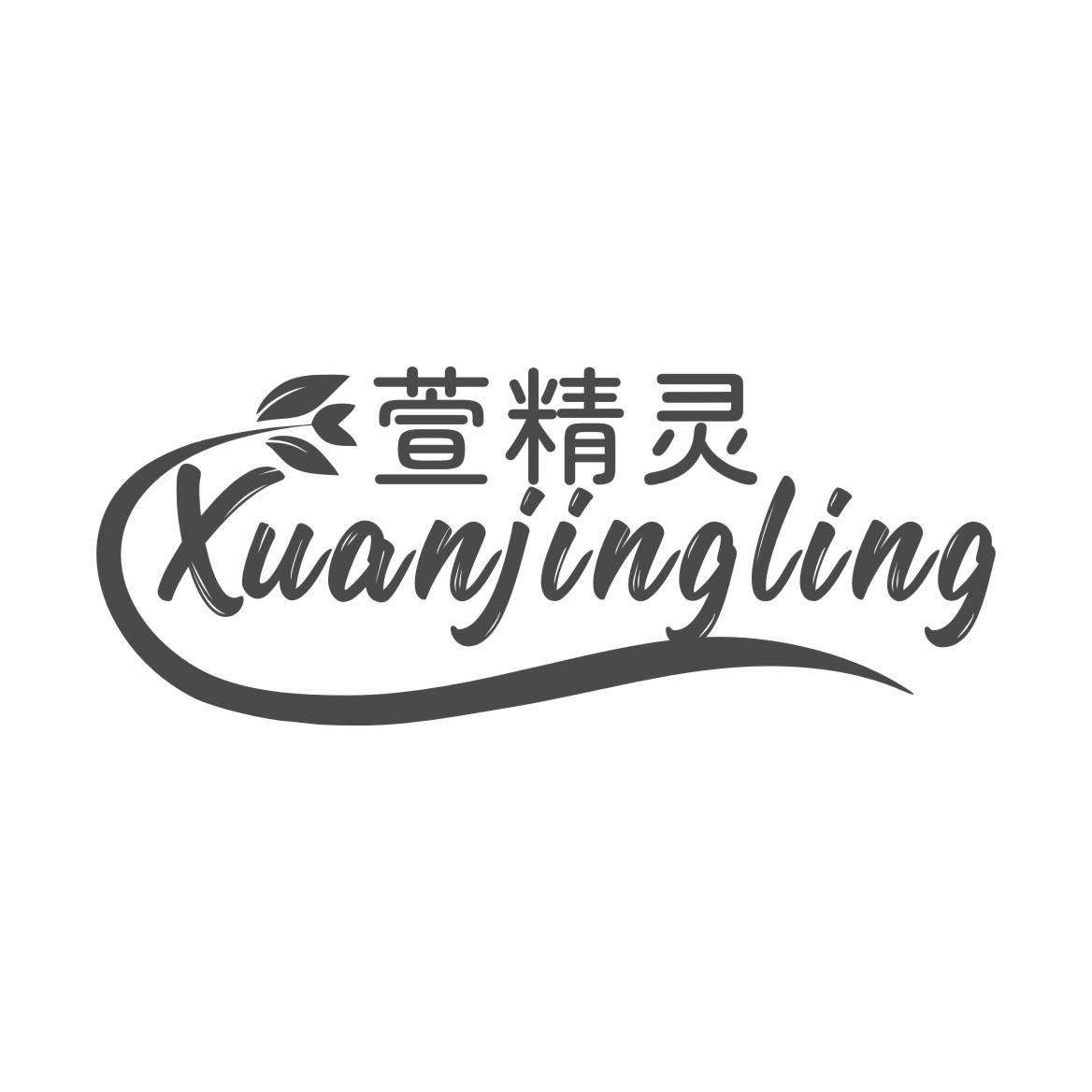 萱精灵