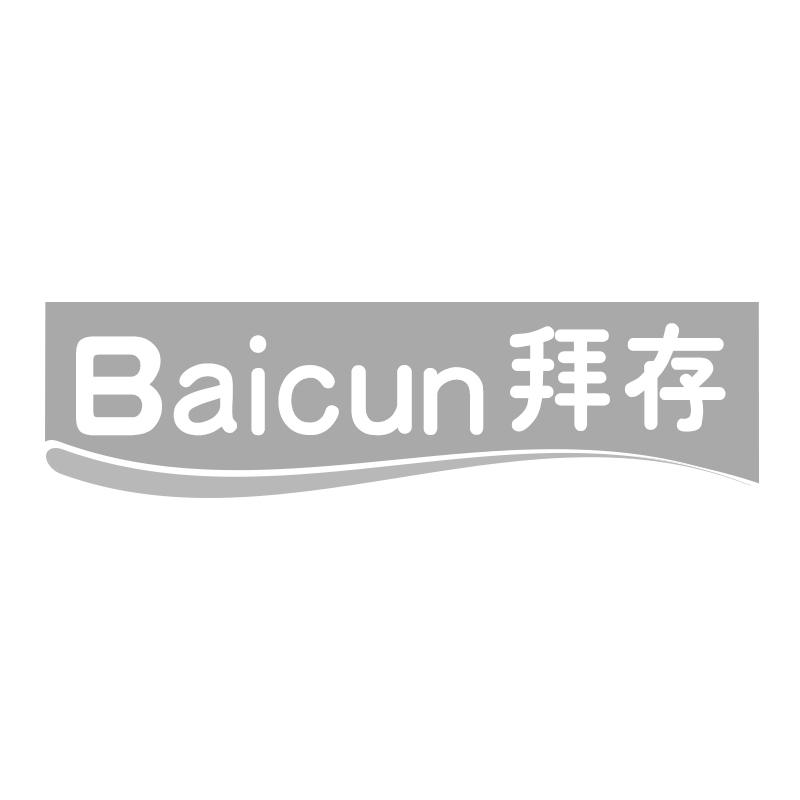 拜存;BAICUN
