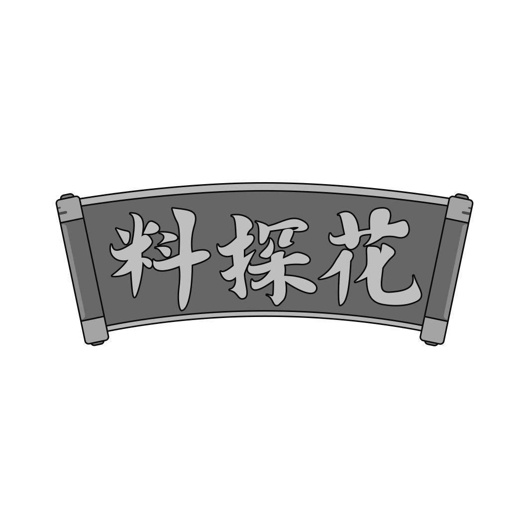 料探花