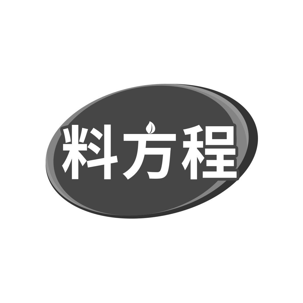 料方程