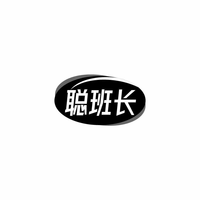 聪班长