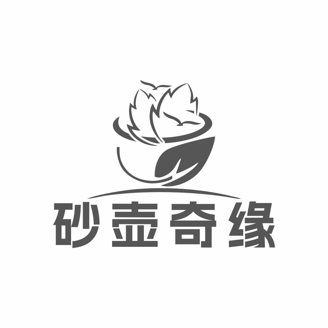 砂壶奇缘