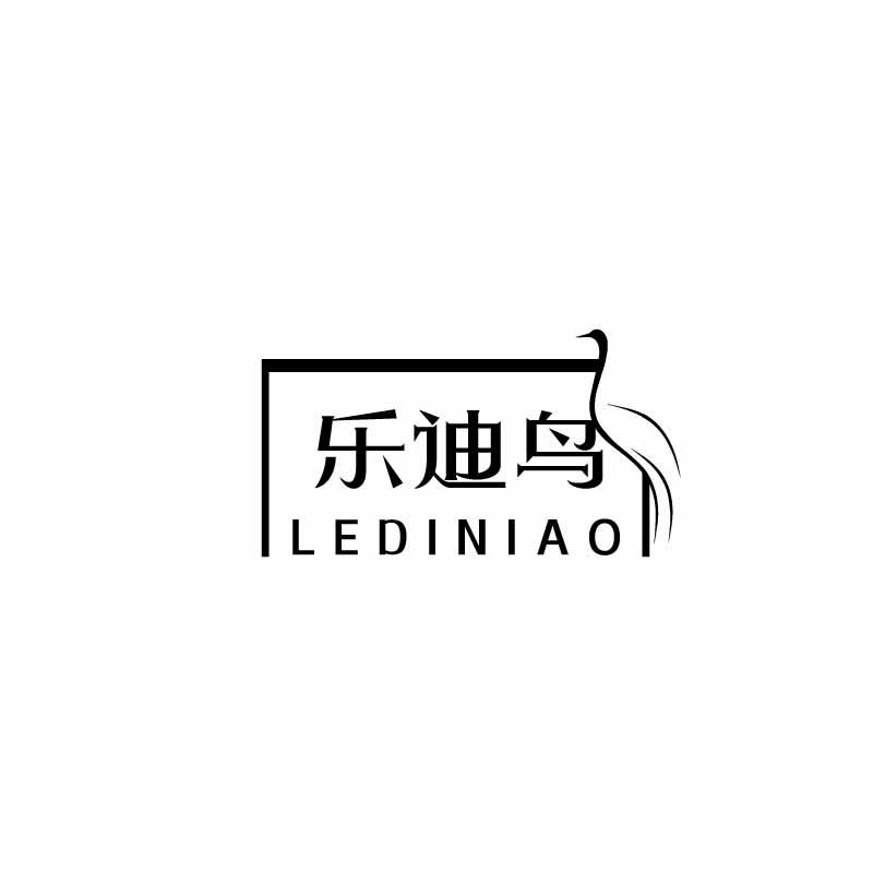 乐迪鸟