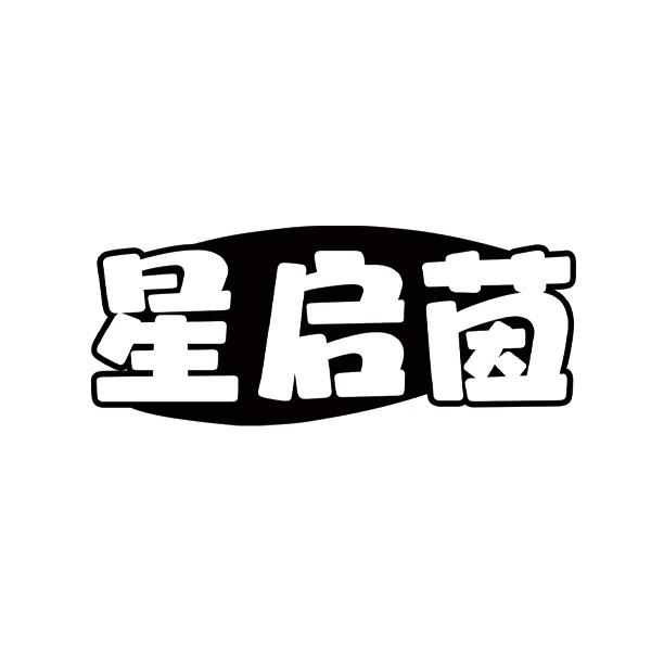 星启茵