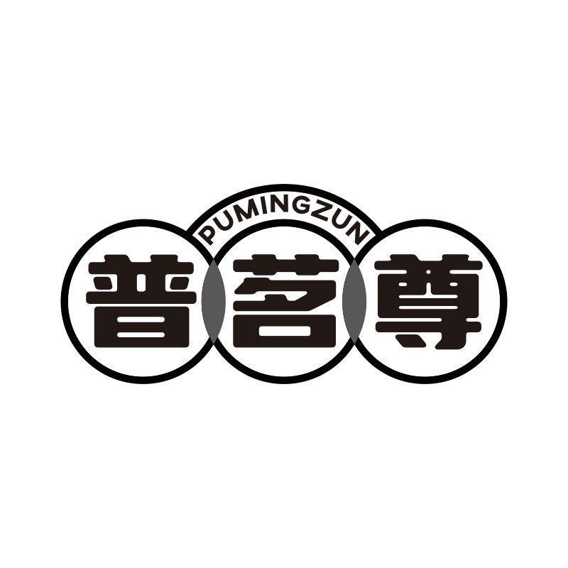 普茗尊