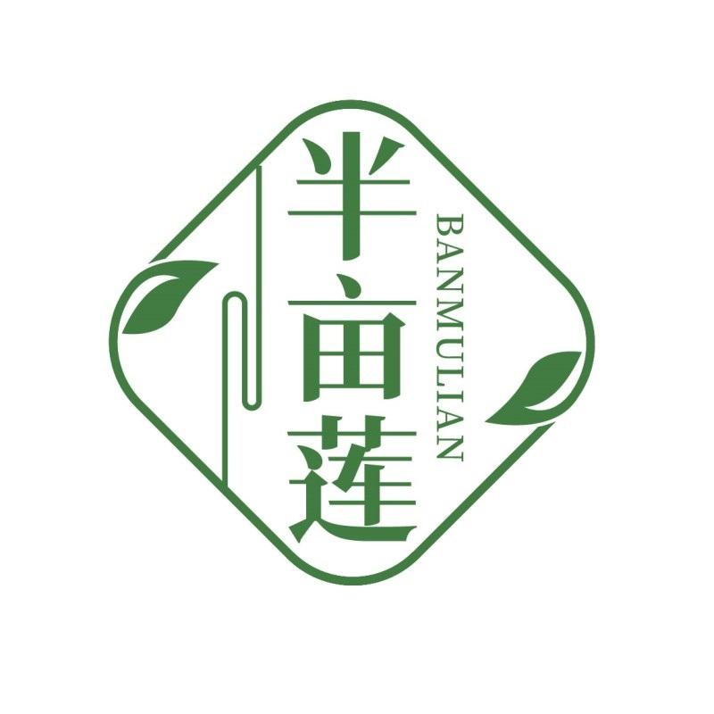 半亩莲