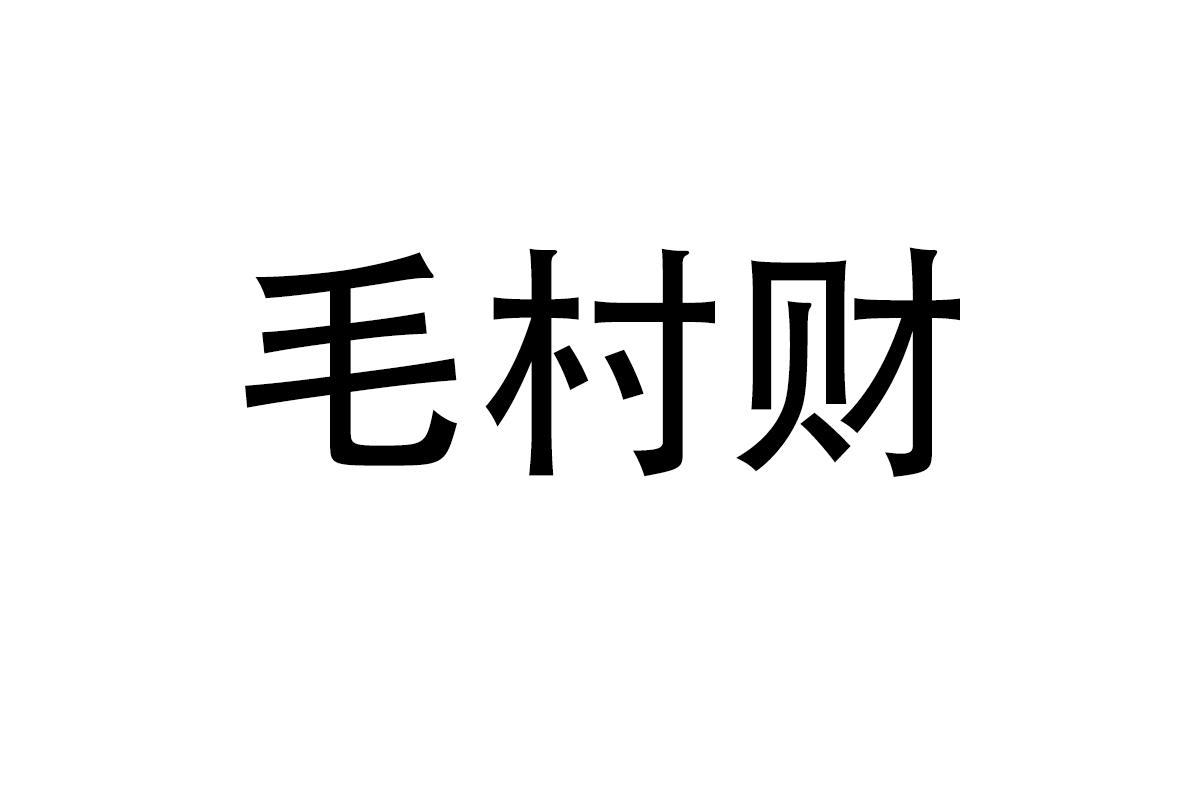 毛村财