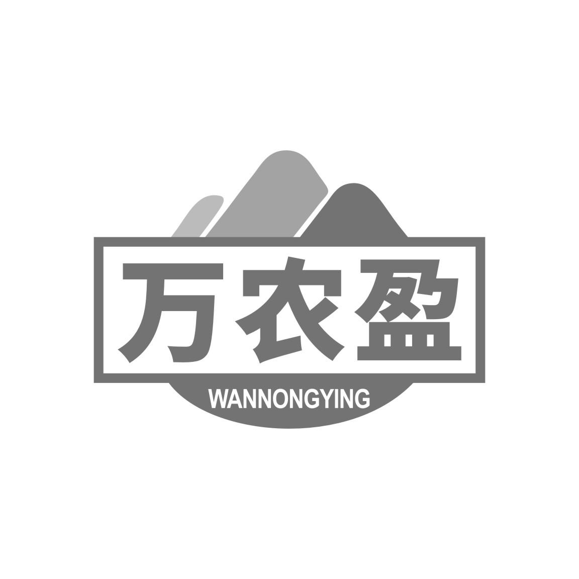 万农盈