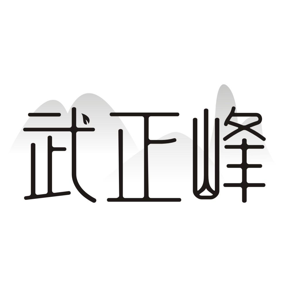 武正峰