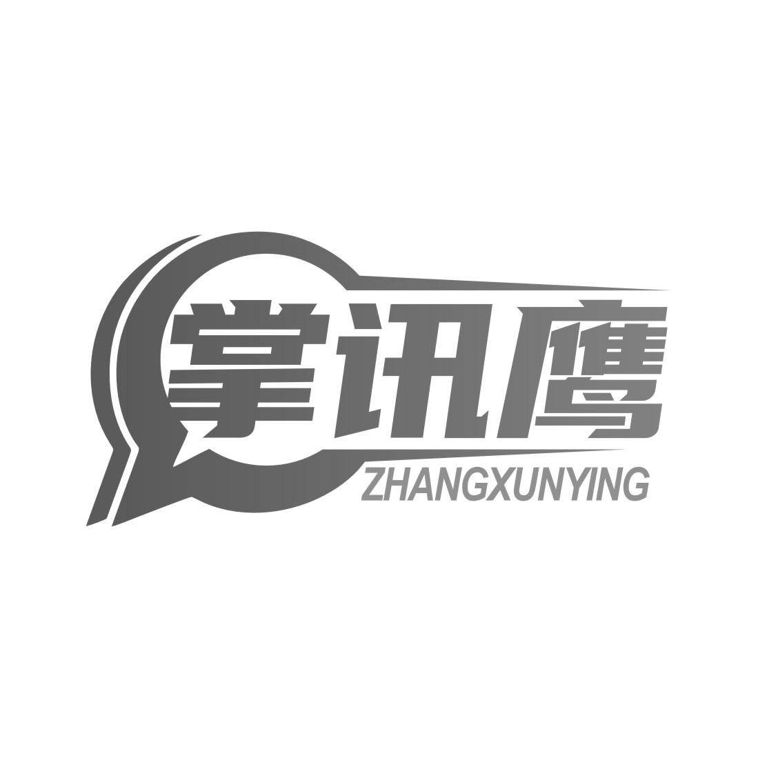 掌讯鹰