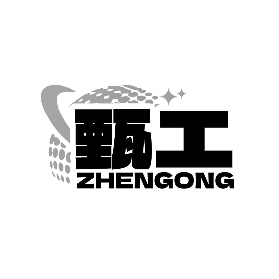甄工
ZHENGONG