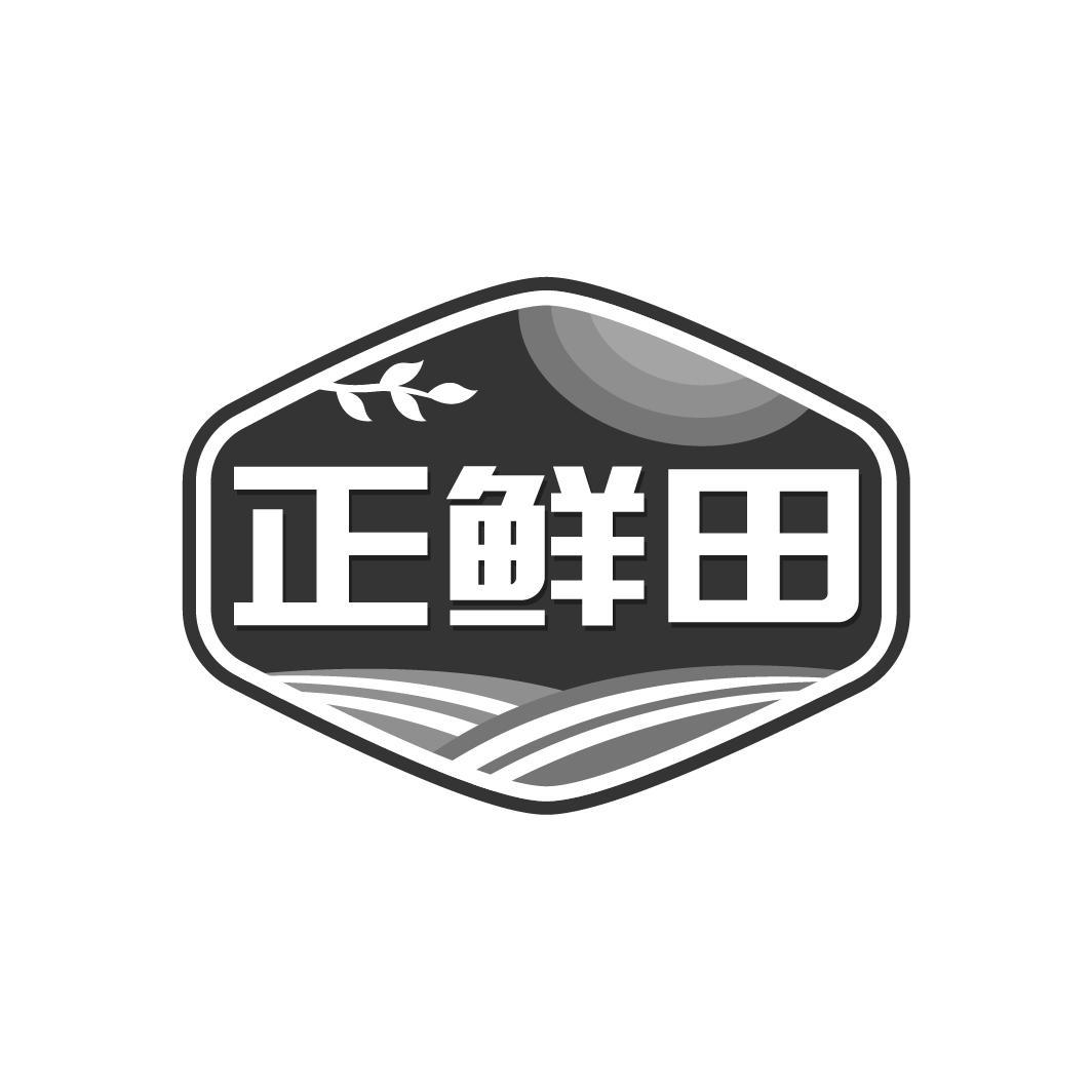 正鲜田