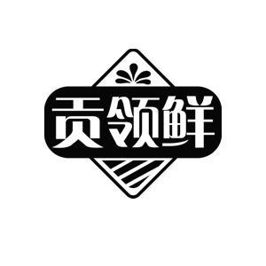 贡领鲜