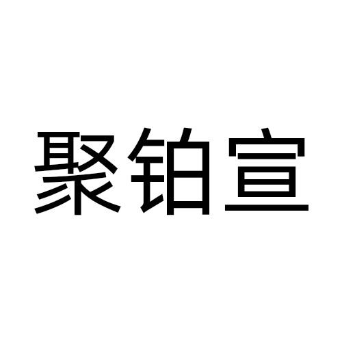 聚铂宣