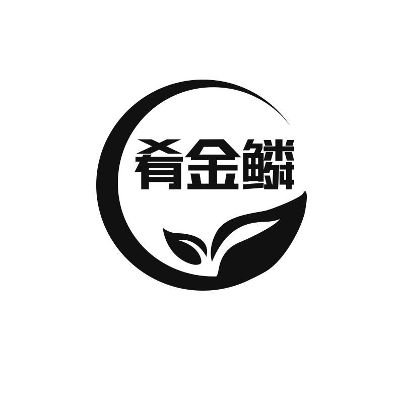 肴金鳞