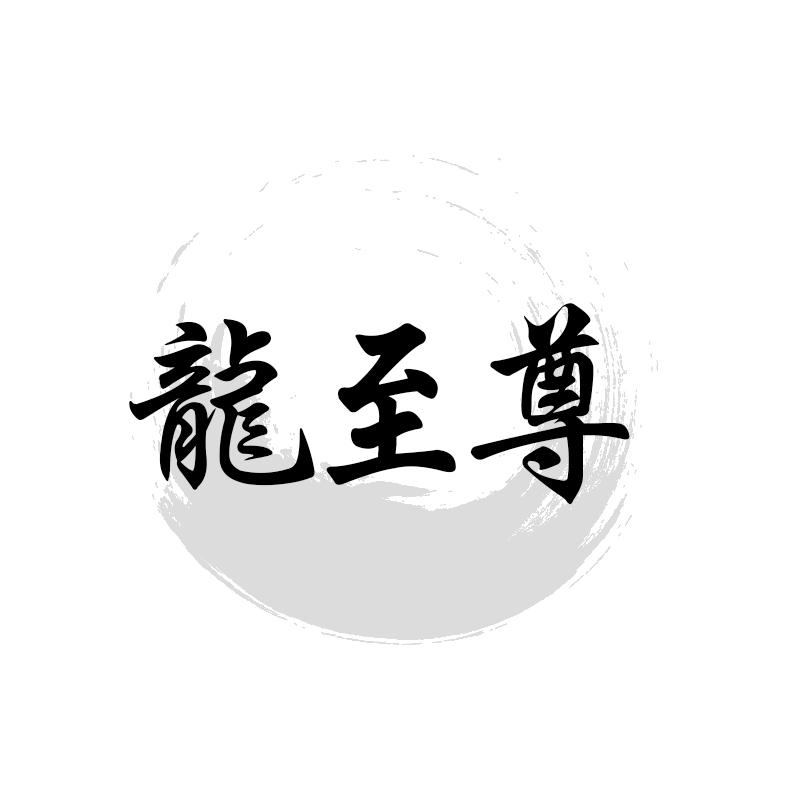 龙至尊
