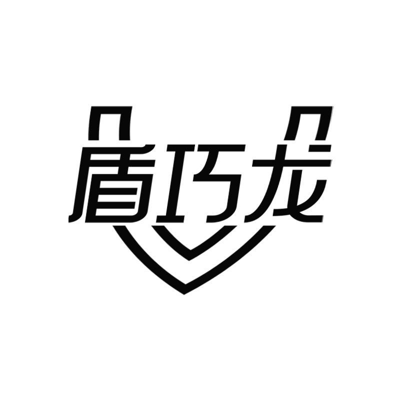 盾巧龙