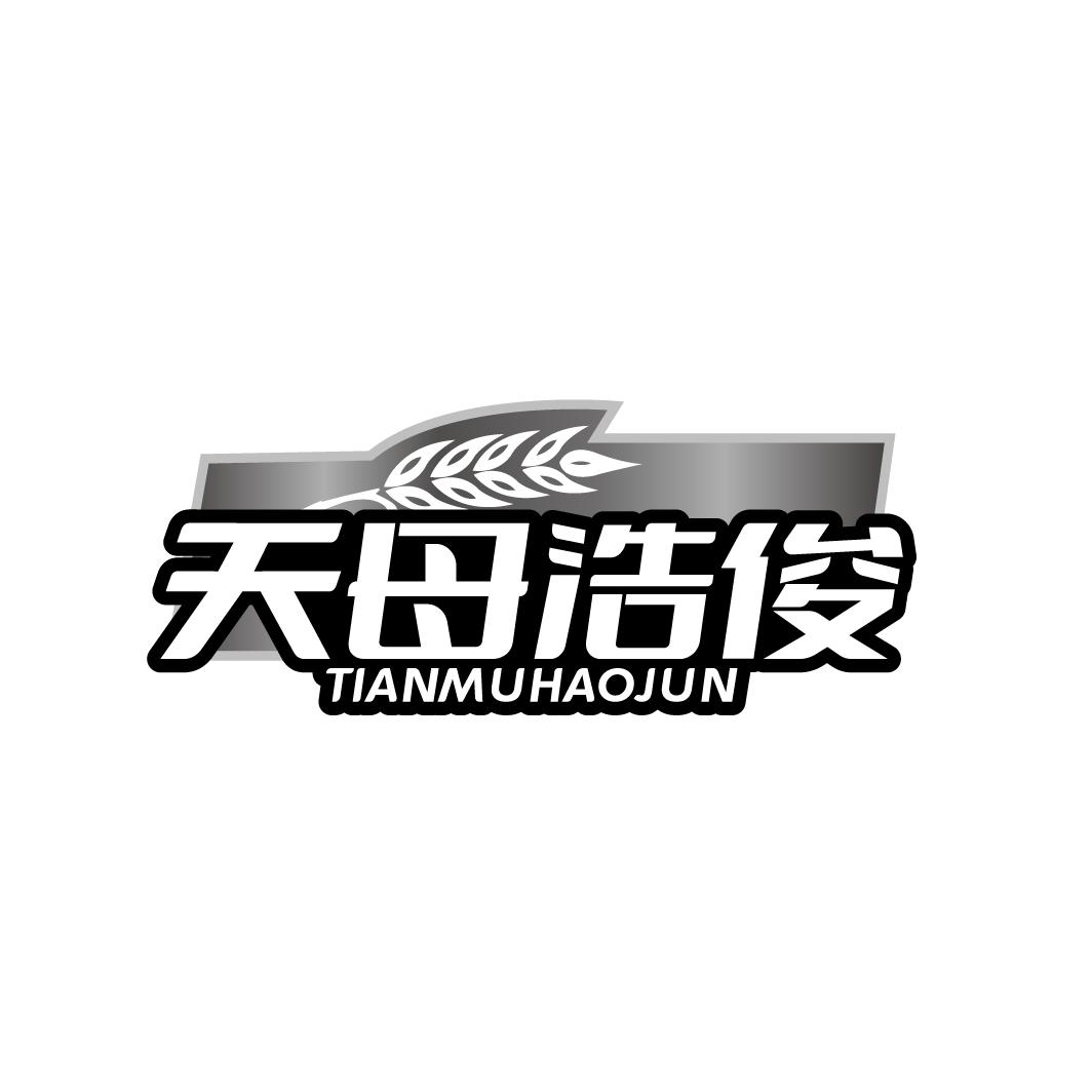 天母浩俊
TIANMUHAOJUN