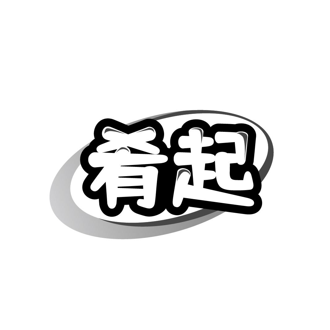 肴起