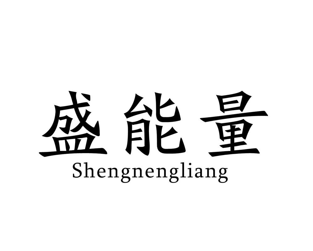 盛能量
